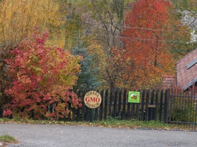 (This area is free from genetically modified organisms)