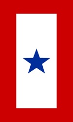 1bluestar