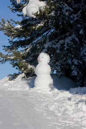 Snowman in the winter forest.